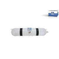 Coolant Expansion Tank DT SPARE PARTS IAM-Expertise fits...