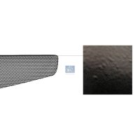 Kühlergitter DT SPARE PARTS IAM-Expertise passend...