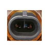 Trim/protection strip door right DT SPARE PARTS IAM-Expertise suitable for FIAT