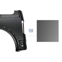 Seitenwand links DT SPARE PARTS IAM-Expertise passend für FORD