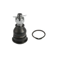 Trag- und Führungsgelenk unten Stahl KYB für...