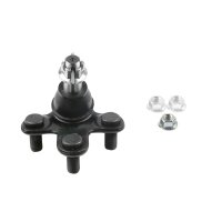 Trag- und Führungsgelenk unten Stahl KYB...