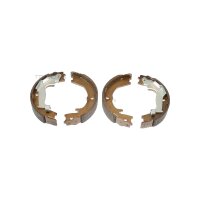 Brake Shoe Set Parking Brake 21 mm TRISCAN IAM-Expertise...