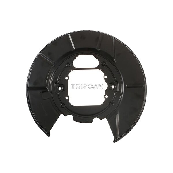 Spray Plate Brake Disc rear axle left steel TRISCAN for BMW X5
