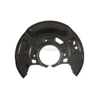Spray Plate Brake Disc front axle right steel TRISCAN for...
