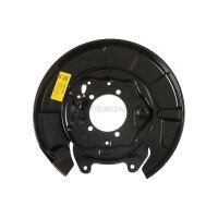 Spray Plate Brake Disc rear axle left steel TRISCAN for...