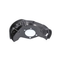 Spray Plate Brake Disc rear axle right steel TRISCAN for...