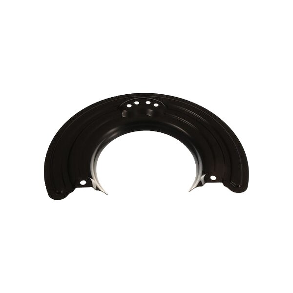 Spray Plate Brake Disc front axle steel TRISCAN for e.g. IVECO DAILY