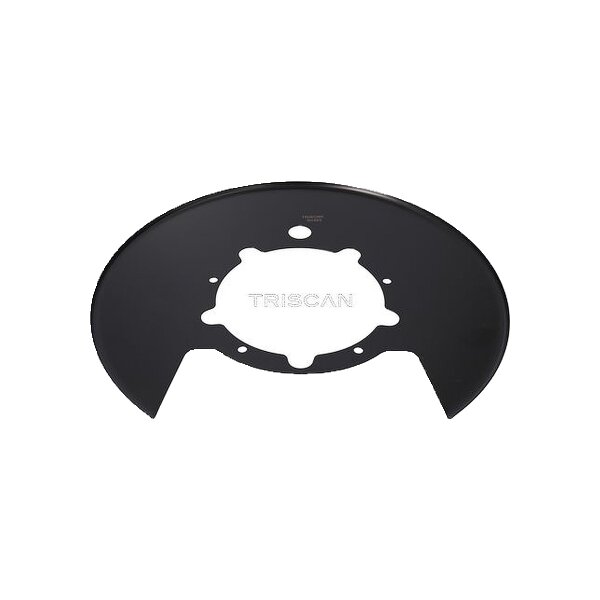 Spray Plate Brake Disc rear axle steel TRISCAN for e.g. IVECO DAILY