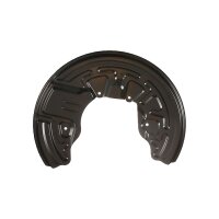 Spray Plate Brake Disc front axle right steel TRISCAN for...