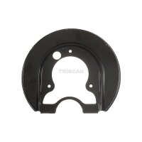 Spray Plate Brake Disc rear axle right steel TRISCAN for...