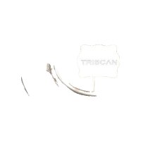 Spray Plate Brake Disc Rear Axle Left Aluminum TRISCAN...