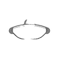 Brake pad set 16.2 mm TRISCAN IAM-Expertise for FIAT...