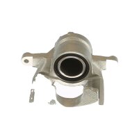 Piston Brake Caliper 1-piston 20 mm TRISCAN IAM-Expertise...
