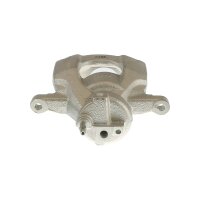 Piston Brake Caliper 1-piston 20 mm TRISCAN IAM-Expertise...