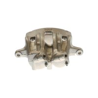 Piston Brake Caliper 2-piston 18 mm TRISCAN IAM-Expertise...