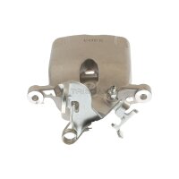 Piston Brake Caliper 1-piston 23 mm TRISCAN IAM-Expertise...