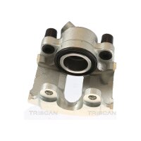 Piston Brake Caliper 1-piston 22 mm TRISCAN IAM-Expertise...