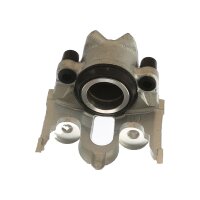 Piston Brake Caliper 1-piston 25 mm TRISCAN IAM-Expertise...