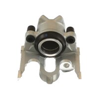 Piston Brake Caliper 1-piston 25 mm TRISCAN IAM-Expertise...