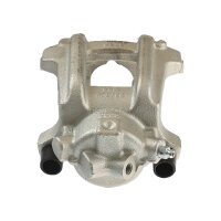 Piston Brake Caliper 1-piston 22 mm TRISCAN IAM-Expertise...