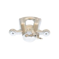 Piston Brake Caliper 1-piston 22 mm TRISCAN IAM-Expertise...