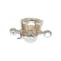 Piston Brake Caliper 1-piston 22 mm TRISCAN IAM-Expertise...