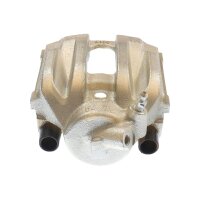 Piston Brake Caliper 1-piston 22 mm TRISCAN IAM-Expertise...