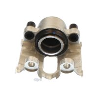 Piston Brake Caliper 1-piston 22 mm TRISCAN IAM-Expertise...