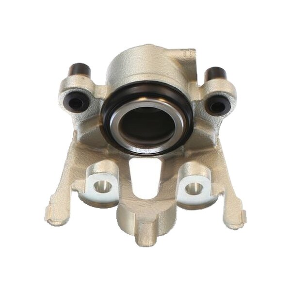 Piston Brake Caliper 1-piston 30 mm TRISCAN IAM-Expertise for BMW X5 and others
