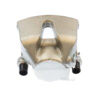 Piston Brake Caliper 1-piston 30 mm TRISCAN IAM-Expertise...