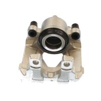 Piston Brake Caliper 1-piston 24 mm TRISCAN IAM-Expertise...