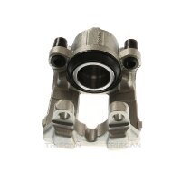 Piston Brake Caliper 1-piston 24 mm TRISCAN IAM-Expertise...