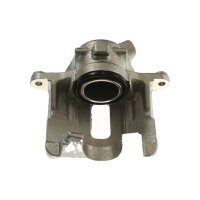 Piston Brake Caliper 1-piston 22 mm TRISCAN IAM-Expertise...