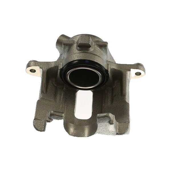 Piston Brake Caliper 1-piston 22 mm TRISCAN IAM-Expertise for BMW 3 Series