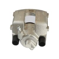 Piston Brake Caliper 1-piston 19 mm TRISCAN IAM-Expertise...