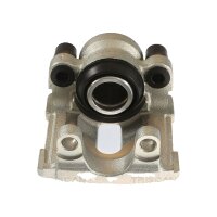 Piston Brake Caliper 1-piston 20 mm TRISCAN IAM-Expertise...