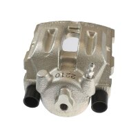 Piston Brake Caliper 1-piston 20 mm TRISCAN IAM-Expertise...