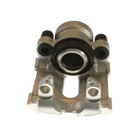 Piston Brake Caliper 1-piston 22 mm TRISCAN IAM-Expertise...