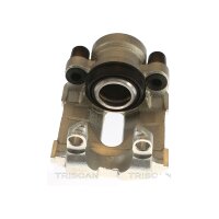 Piston Brake Caliper 1-piston 22 mm TRISCAN IAM-Expertise...