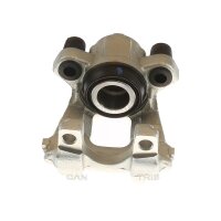 Piston Brake Caliper 1-piston 11 mm TRISCAN IAM-Expertise...