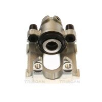 Piston Brake Caliper 1-piston 22 mm TRISCAN IAM-Expertise...