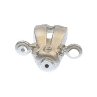 Piston Brake Caliper 1-piston 10 mm TRISCAN IAM-Expertise...