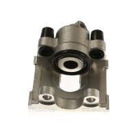 Piston Brake Caliper 1-piston 10 mm TRISCAN IAM-Expertise...