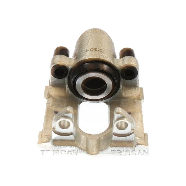 Piston Brake Caliper 1-piston 24 mm TRISCAN IAM-Expertise for BMW 5 Series