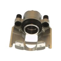 Piston Brake Caliper 1-piston 22 mm TRISCAN IAM-Expertise...