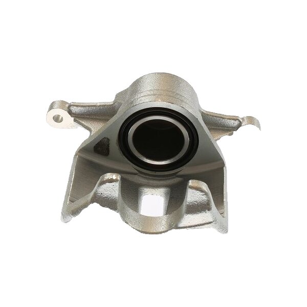 Piston Brake Caliper 1-piston 22 mm TRISCAN IAM-Expertise for TOYOTA COROLLA