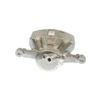 Piston Brake Caliper 1-piston 22 mm TRISCAN IAM-Expertise...