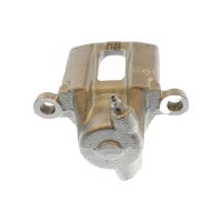 Piston Brake Caliper 1-piston 18 mm TRISCAN IAM-Expertise...