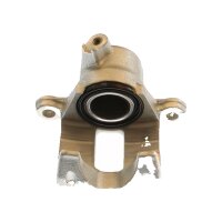 Piston Brake Caliper 1-piston 18 mm TRISCAN IAM-Expertise...